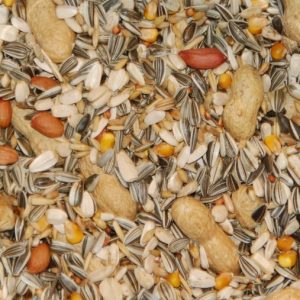 Papagaaienvoer met pinda's