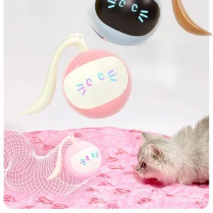 2-in-1 Interactief Zelfrollende Bal met Jachthoes | Speelgoed voor Gelukkige, Speelse Katten