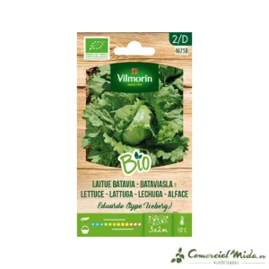 Semillas BIO de Lechuga Batavia Iceberg VILMORIN