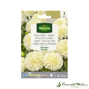 VILMORIN Semillas Rosa de Las Indias Kilimanjaro