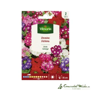 VILMORIN Semillas Verbena Variada