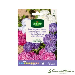 VILMORIN Semillas Reina Margarita Belleza Variada