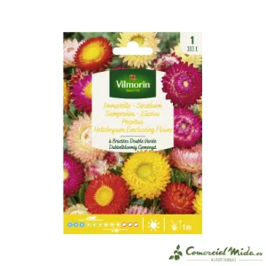 VILMORIN Semillas Siempreviva con Brácteas Doble Variada