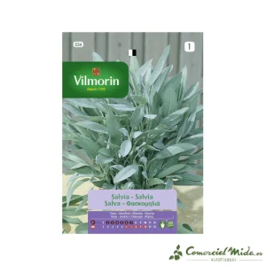 VILMORIN Semillas Salvia