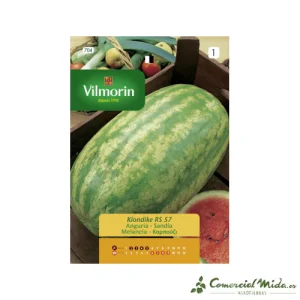 VILMORIN Semillas Sandía Klondike RS 57