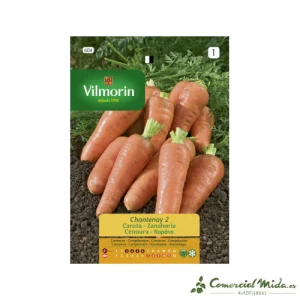 VILMORIN Semillas Zanahoria Chantenay 2