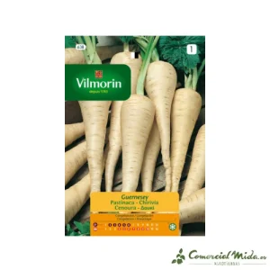 Semillas de CHIRIVÍA GUERNESEY Vilmorin 7g