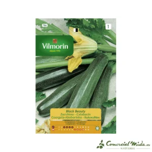 Semillas de CALABACIN BLACK BEAUTY Vilmorin 7g