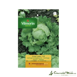 Semillas Lechuga Grandes Lagos 2,5gr VILMORIN