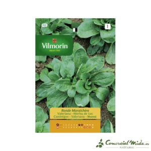 VILMORIN Semillas Valeriana - Hierba de los Canόnigos Ronde Maraîchère