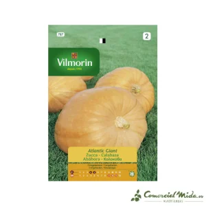 Semillas Calabaza Gigante Atlantic 2gr VILMORIN