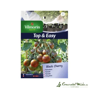 VILMORIN Semillas Tomate Black Cherry