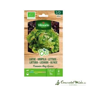 Semillas BIO de Lechuga MAY QUEEN VILMORIN