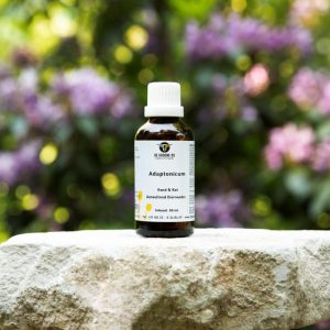 Adaptonicum Hond & Kat