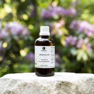 Adaptonicum Paard & Pony