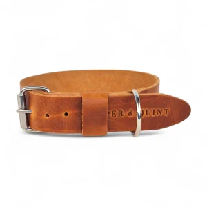 Brede Leren Halsband | Bold Camel