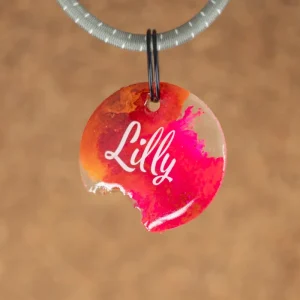 Hondenpenning Havoc Chaos