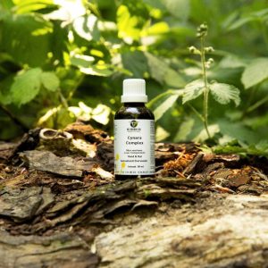 Cynara Complex Hond & Kat