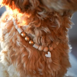 Golden anti-tekenband