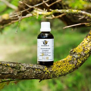 Duivelsklauw Complex Hond & Kat