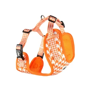 Harnas | Orange Pied-de-Poule