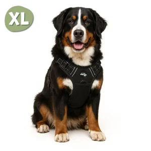 Hondentuigje Y – Maat XL