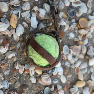 Gepersonaliseerde Tennisbalhouder