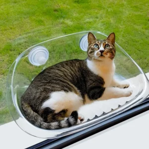 Zuignap Kattenraam Hangmat | Ultiem Relaxen bij het Raam