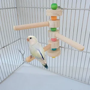 Vogel Ladder Speelgoed | Leuk voor Klimmen en Verkennen