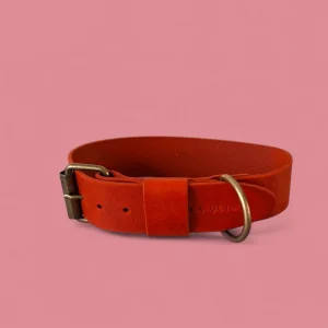 Scarlet Red Limited Edition | Bold Brede Halsband