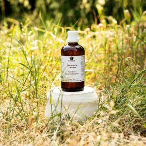 Scutellaria Tinctuur Paard & Pony