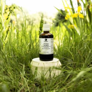 Solidago Complex Paard & Pony