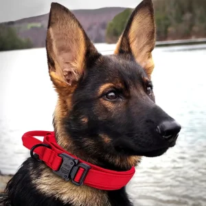 Tactische Hondenhalsband voor Training & Veiligheid