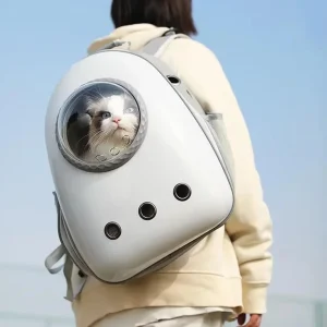 Rugtas Kattenmand met Kijkgat