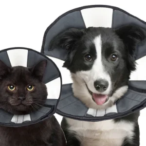 ZENCONE SOFT RECOVERY COLLAR (Comfy Cone)