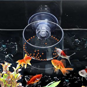 Acryl Voedingscirkel voor Vissen | Drijvende en Vaste Voederoplossing