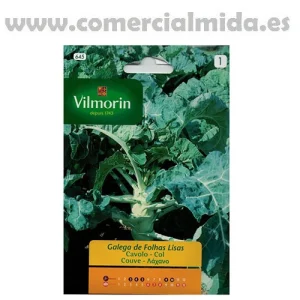 Semillas COL GALLEGA DE HOJAS LISAS Vilmorin 8g