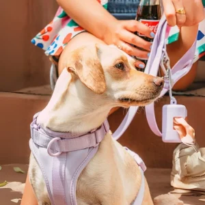 Hondenharnas Set | Waterdicht Handsfree Wandelen 4-in-1 Set