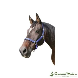 Cabezada de Nylon Mustang KERBL con Doble Ajuste para Caballos