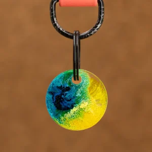 Hondenpenning Dakota