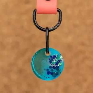 Hondenpenning Dasher