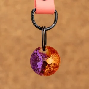 Hondenpenning Jancer