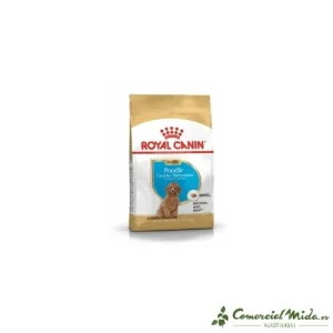 Pienso ROYAL CANIN POODLE PUPPY para Caniche Cachorro 3Kg