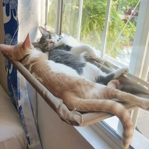 Zuignap Kattenhangmat voor aan je raam